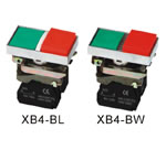 Double Button Switch